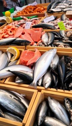 水產品 營養與可持續利用的雙重價值